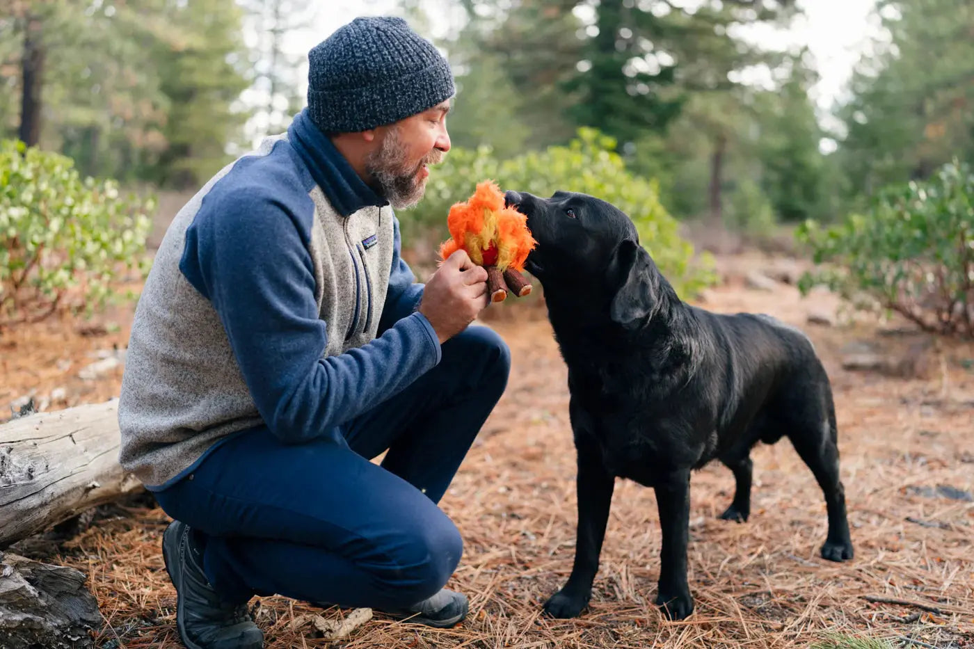 Cozy Campfire Dog Toy PLAY