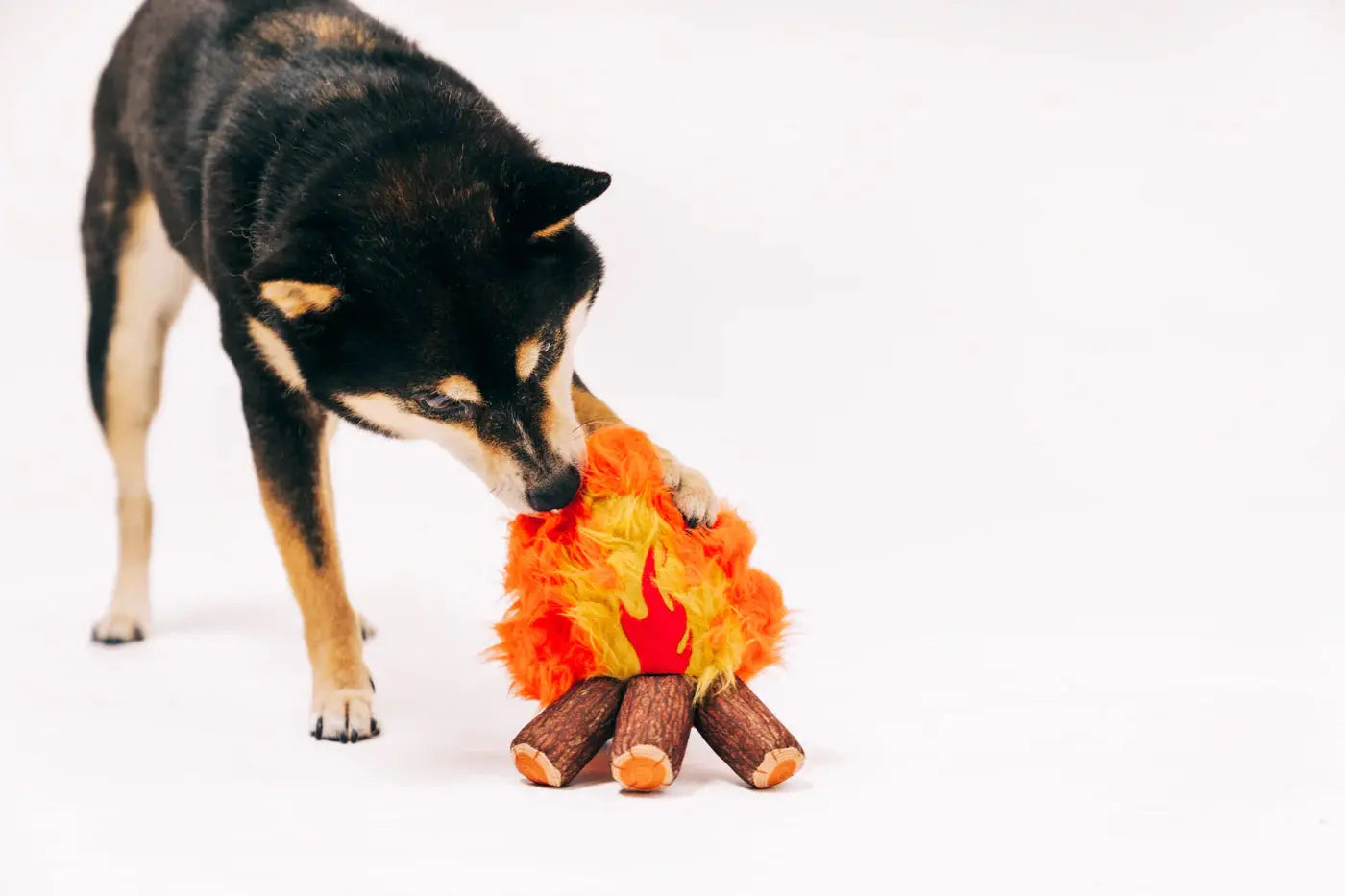 Cozy Campfire Dog Toy PLAY