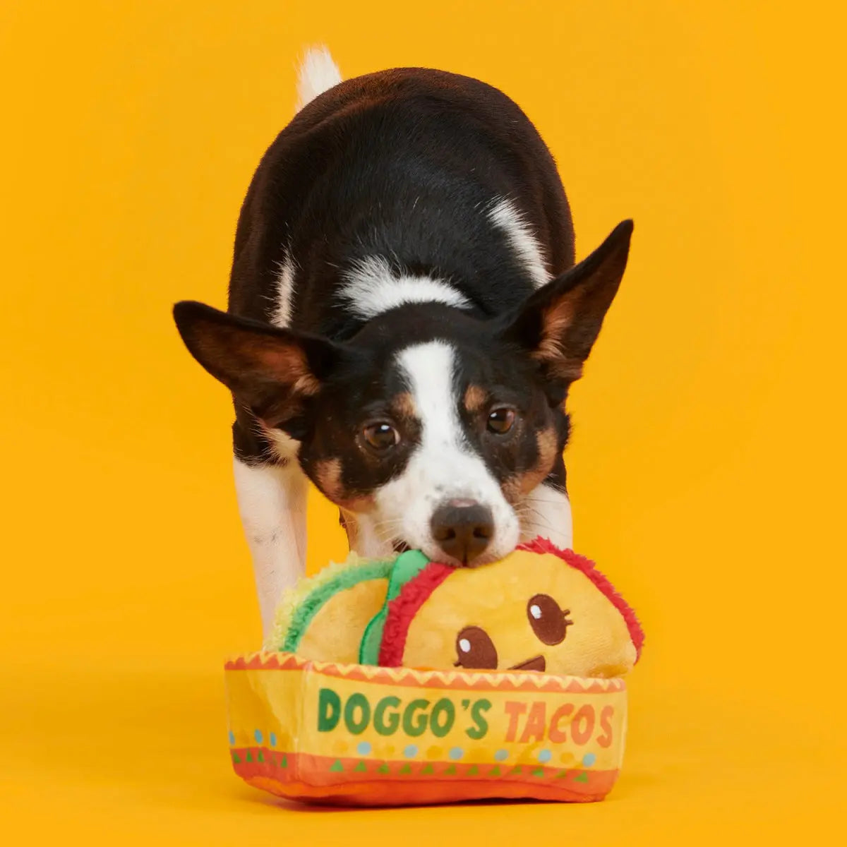 Doggos Tacos Dog Toy BARK