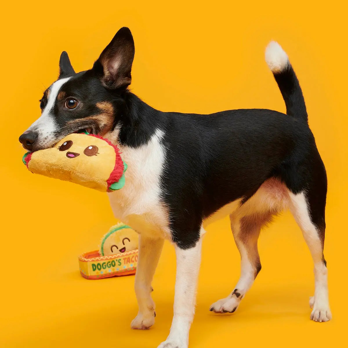 Doggos Tacos Dog Toy BARK