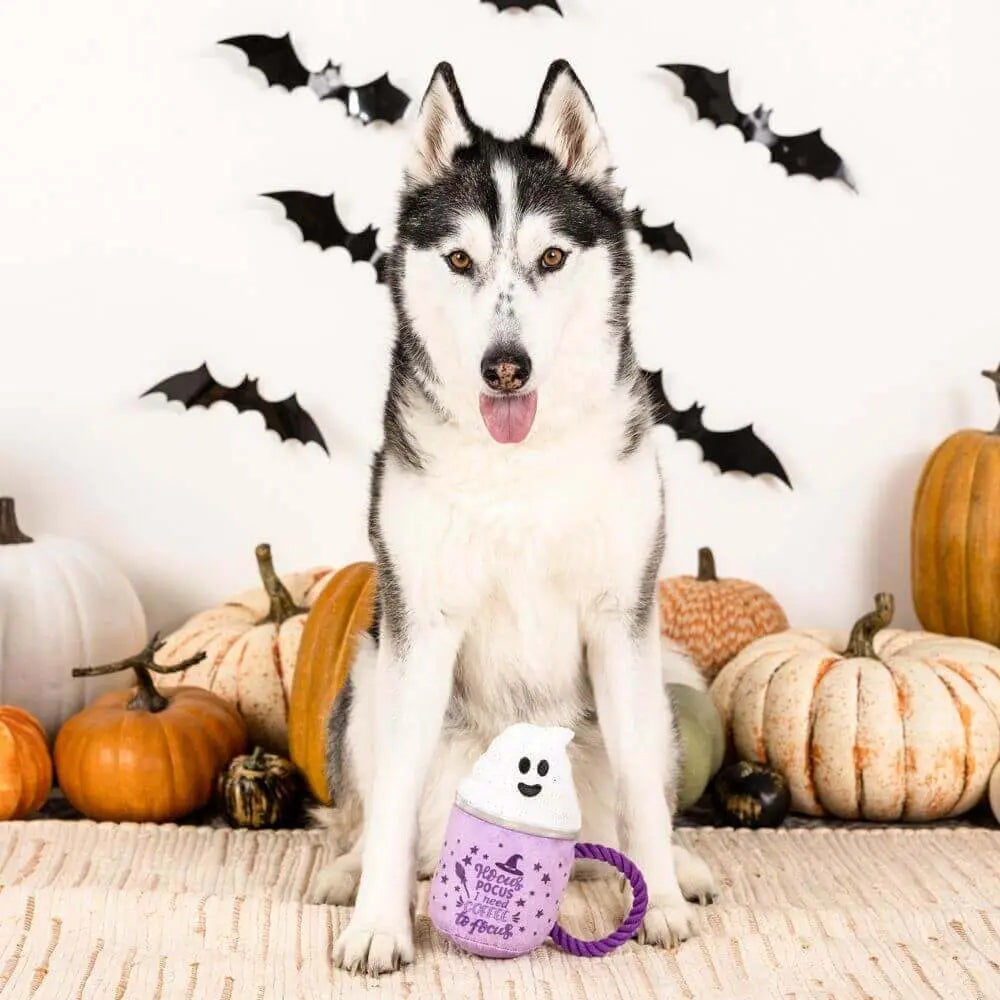 Drink Up Witches Plush Toy Petshop by Fringe Studio