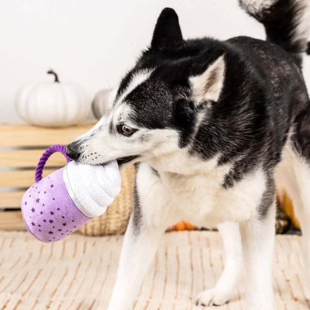 Drink Up Witches Plush Toy Petshop by Fringe Studio