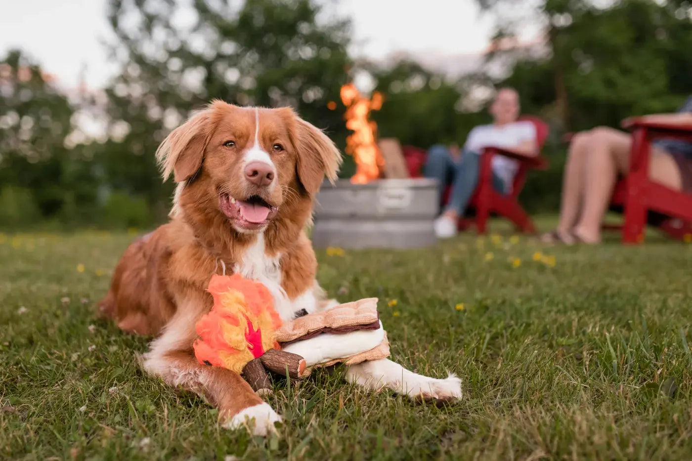 Gimme S'more Dog Toy PLAY