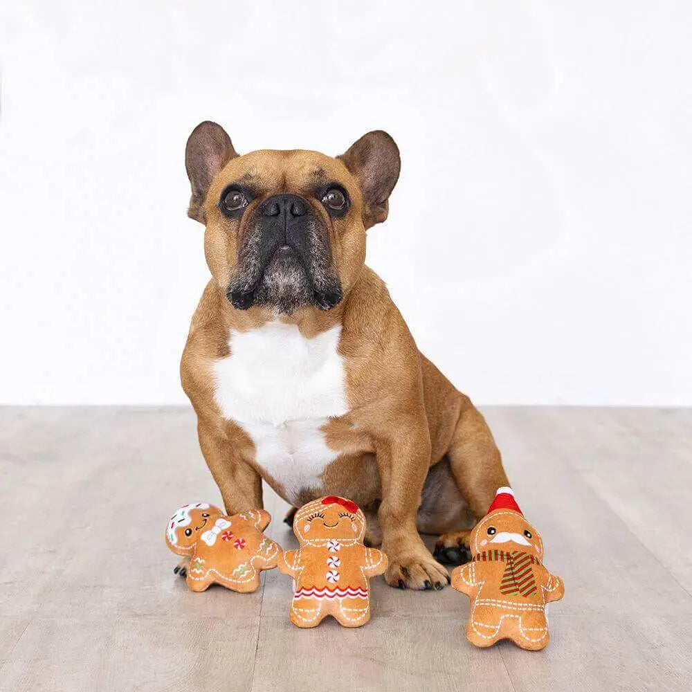 Gingerbread Everything Toy - 3pk Petshop by Fringe Studio