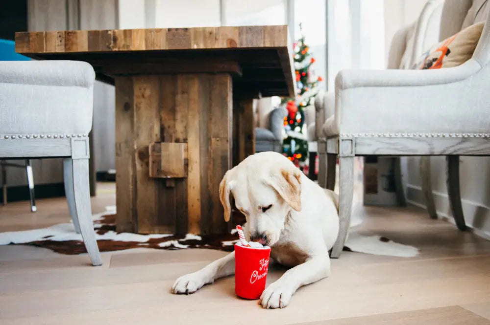 Holiday Classic Hot Chocolate Dog Toy PLAY
