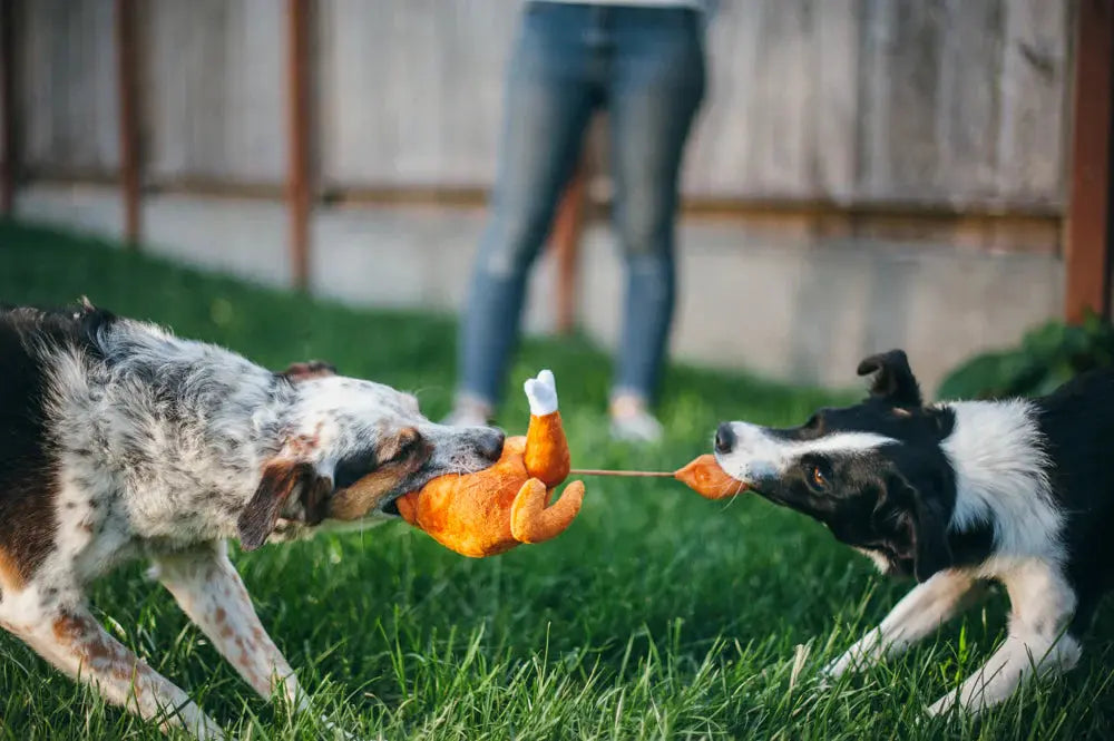 Holiday Classic Turkey Dog Toy PLAY