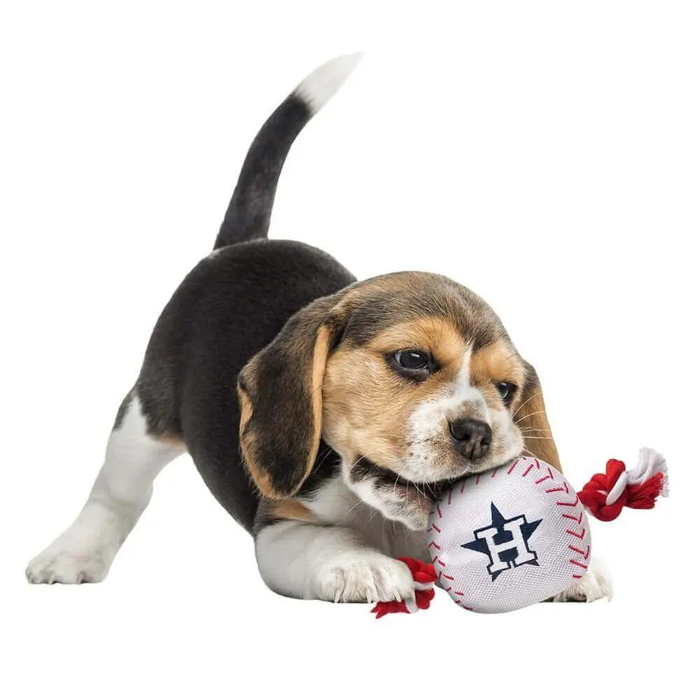 Houston Astros Baseball Toy Pets First