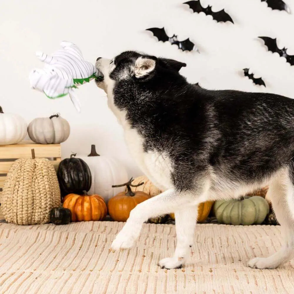 Keeping It Under Wraps Plush Toy Petshop by Fringe Studio
