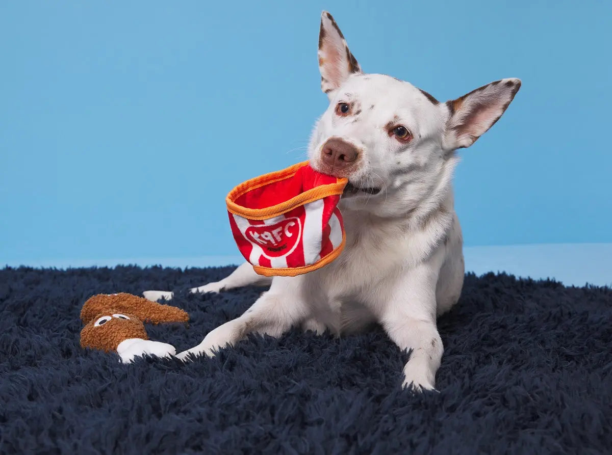 Kenpuppy Fried Chicken Dog Toy BARK