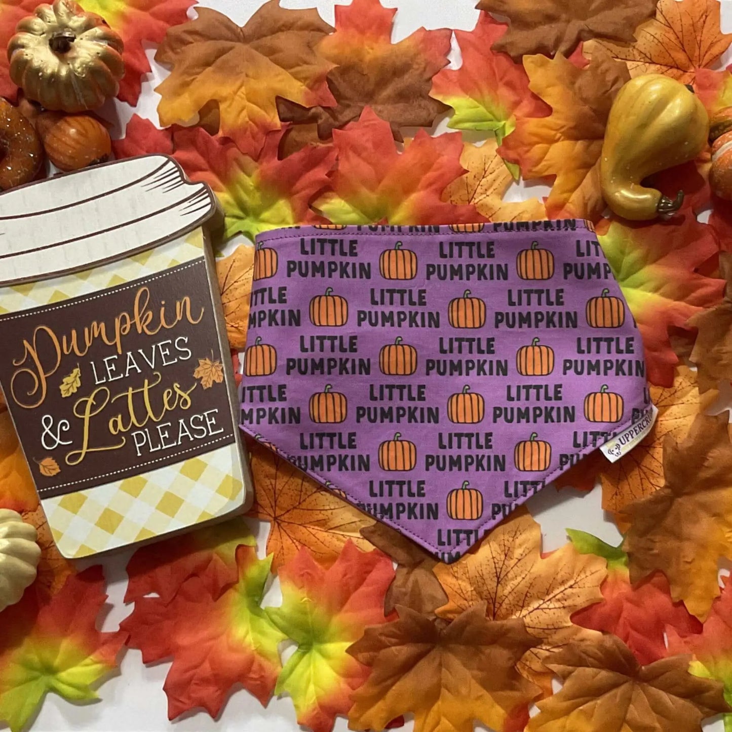 Little Pumpkin Bandana Uppercrufts