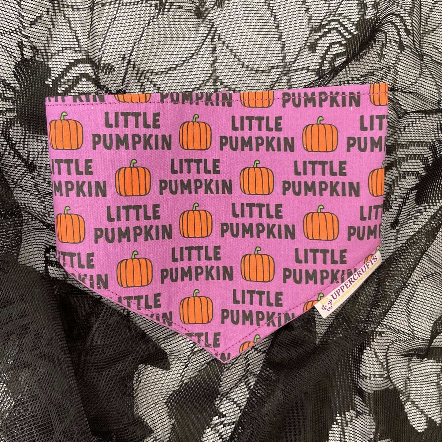 Little Pumpkin Bandana Uppercrufts