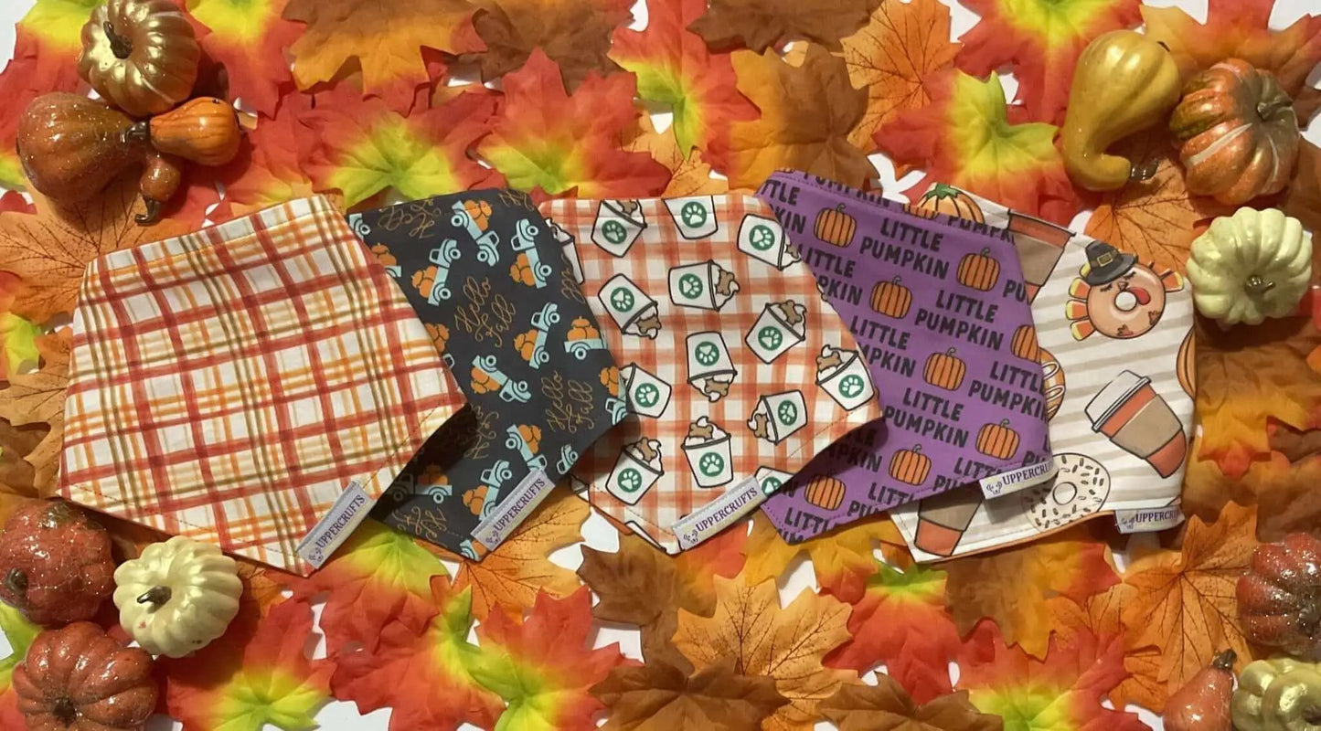 Little Pumpkin Bandana Uppercrufts