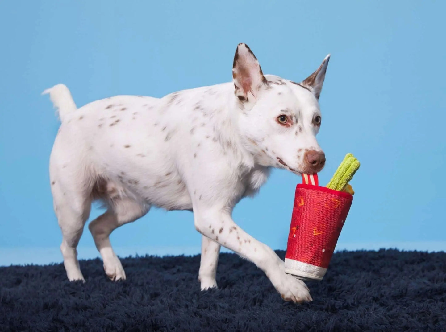 Mutty Mary BARK