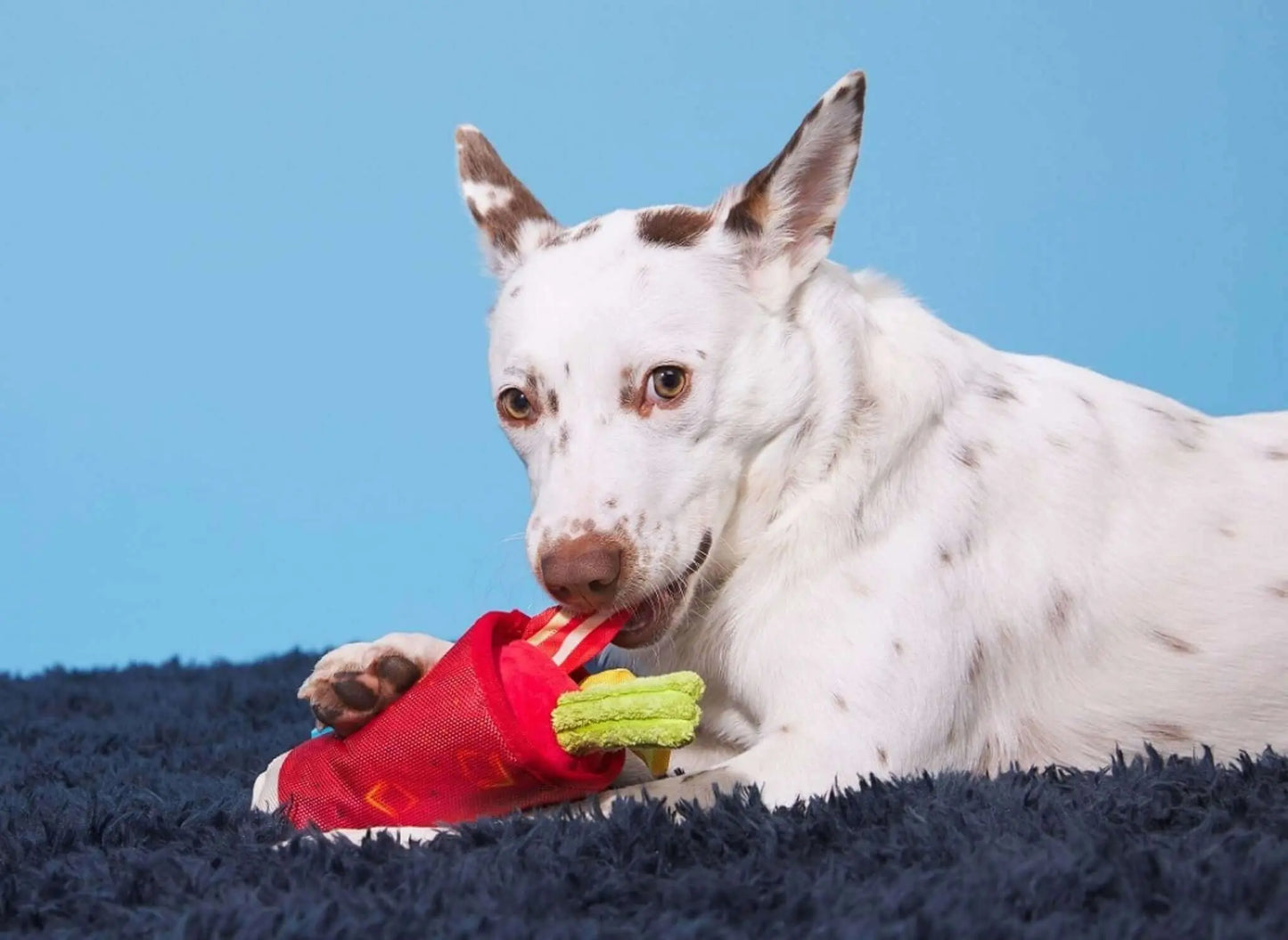 Mutty Mary BARK