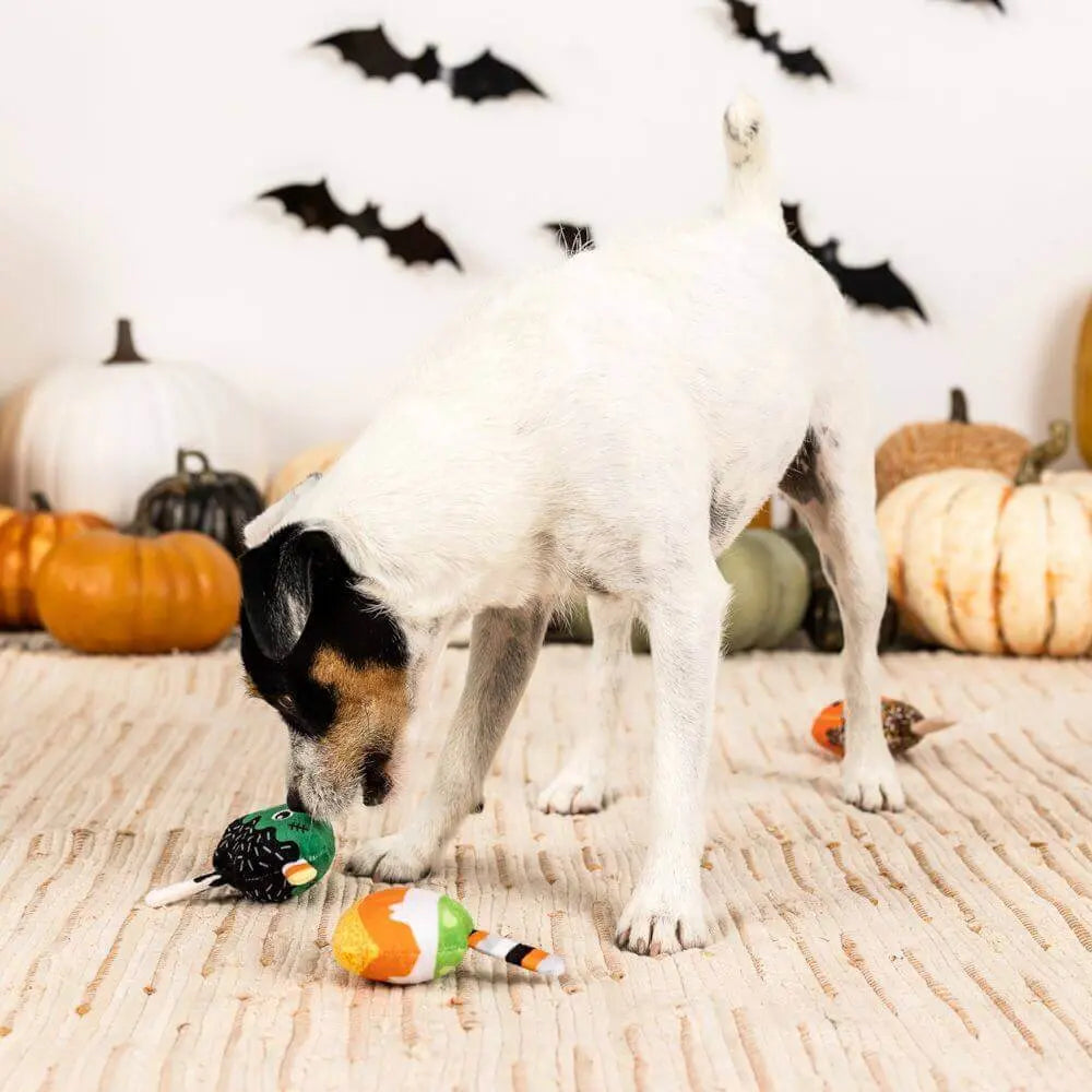 No Tricks, Just Treats Plush Toys Petshop by Fringe Studio