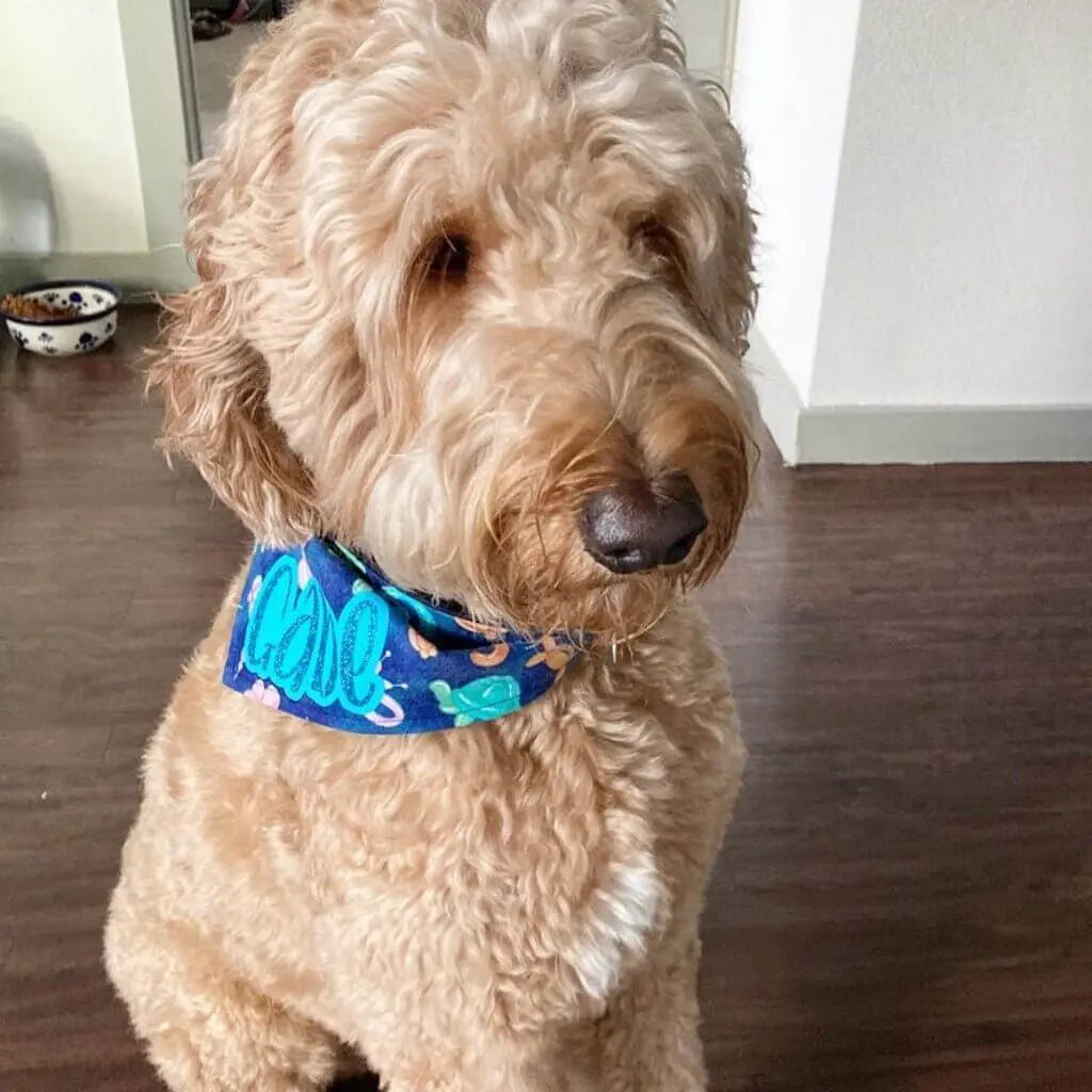 Party Animal Bandana Uppercrufts