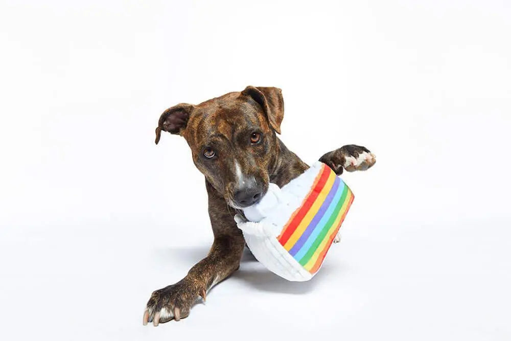 Piece of Cake Toy BARK