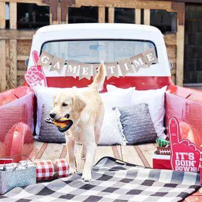 Play Like A Champion Durable Plush Toy Petshop by Fringe Studio