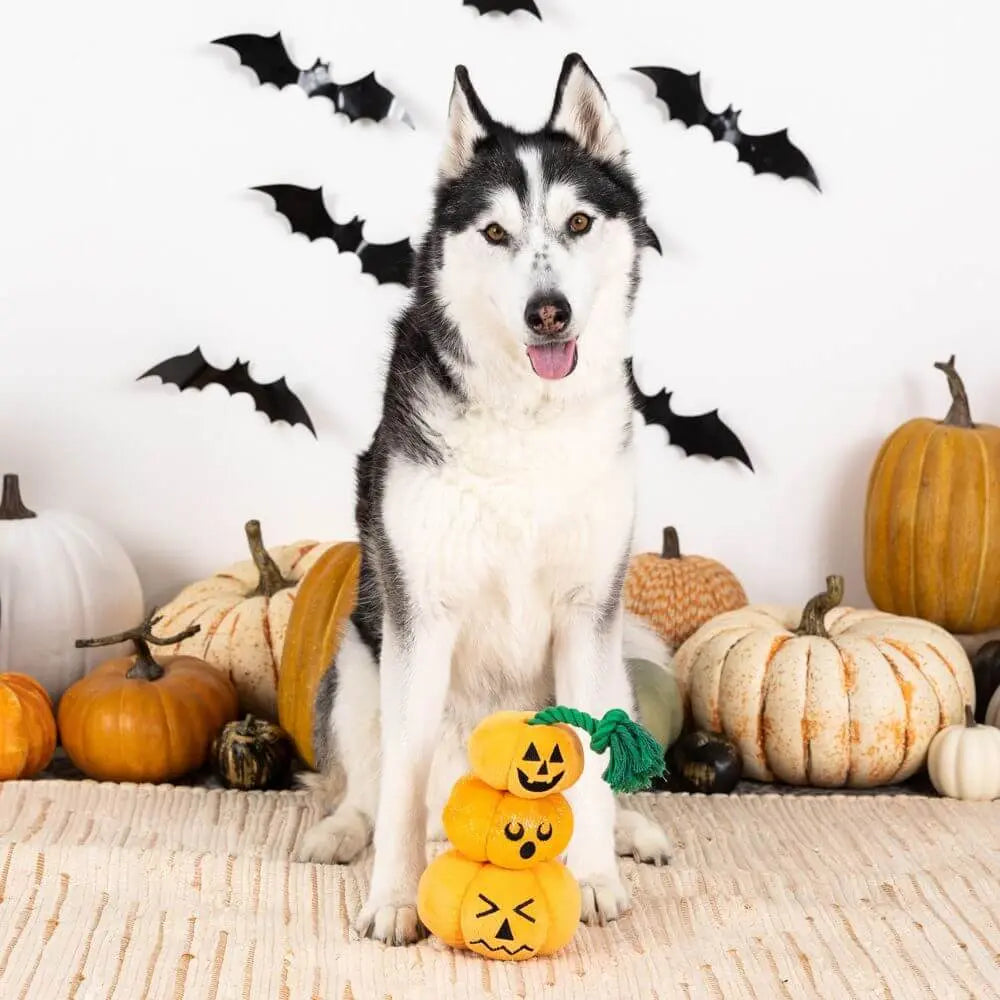 Stack-O-Lantern Plush Toy Petshop by Fringe Studio