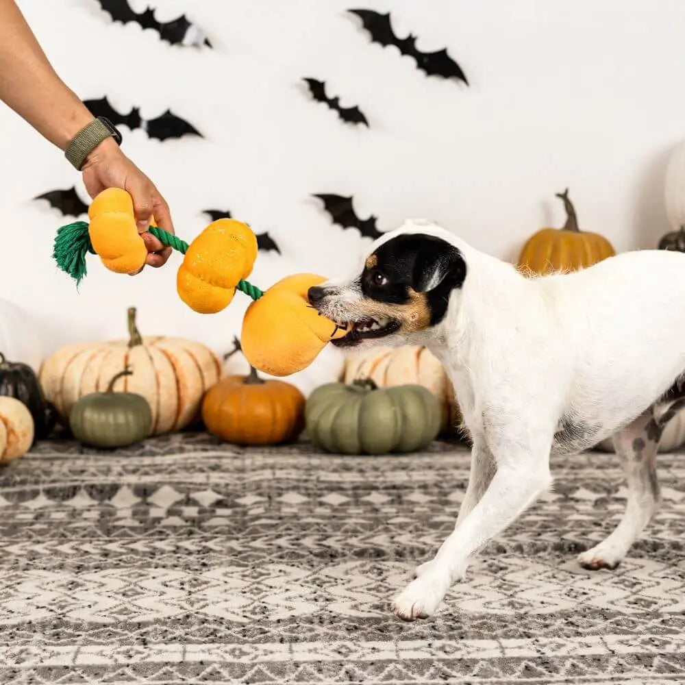 Stack-O-Lantern Plush Toy Petshop by Fringe Studio