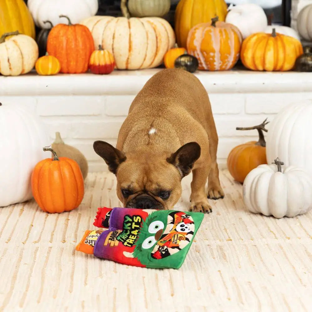 Tricky Treats Hide & Seek Plush Toy Petshop by Fringe Studio