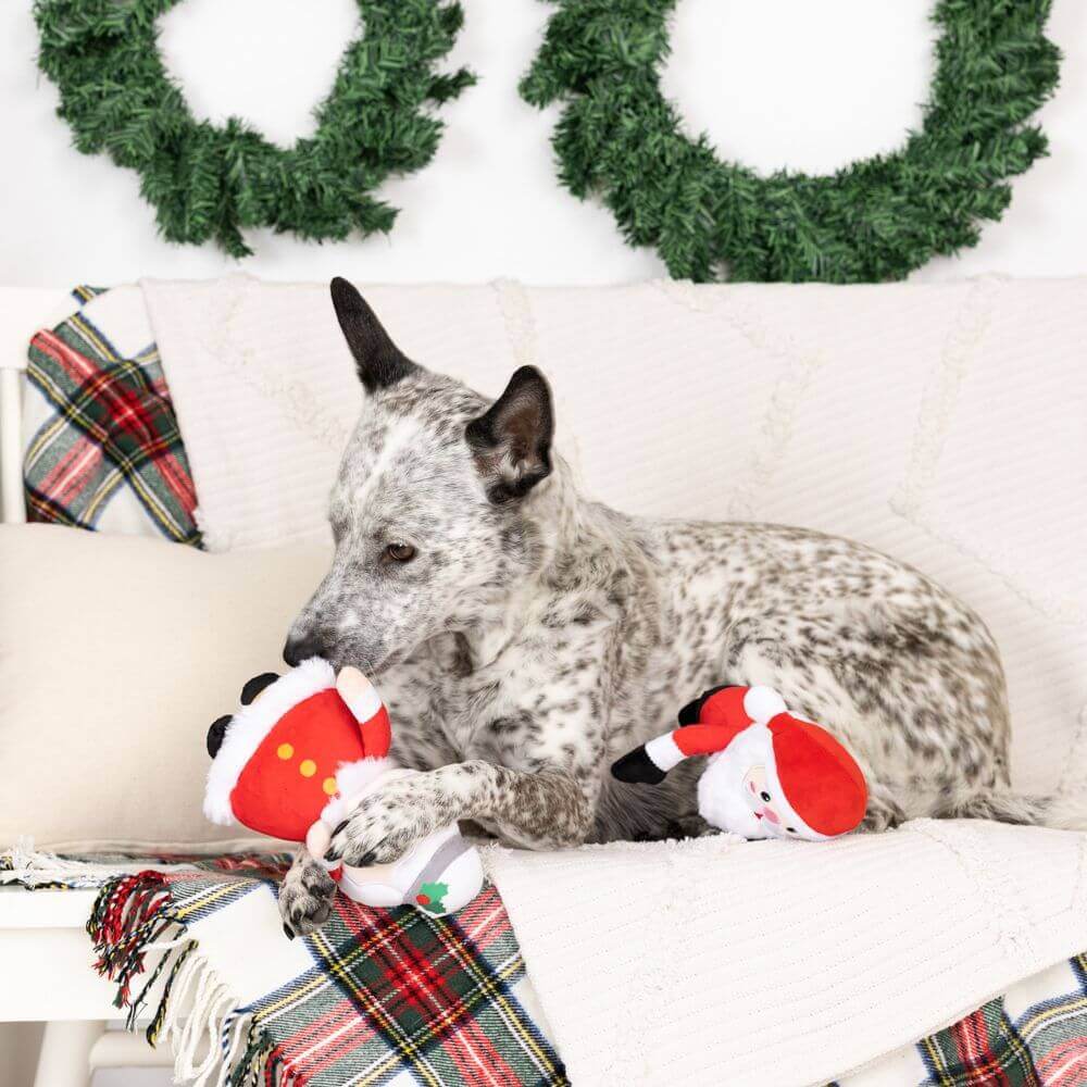 Mr & Mrs Santa Paws Toy - Uppercrufts