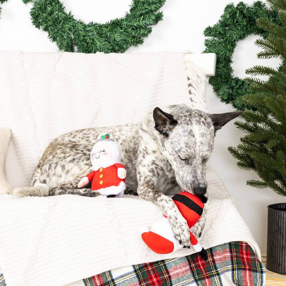 Mr & Mrs Santa Paws Toy - Uppercrufts
