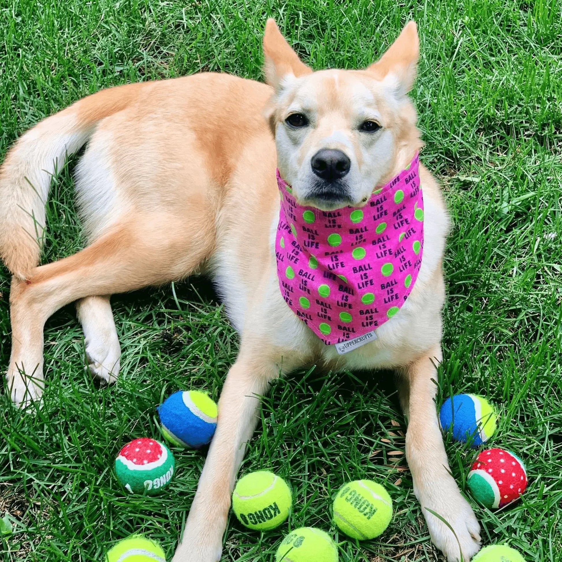 Ball Is Life Dog Bandana - Pink Uppercrufts