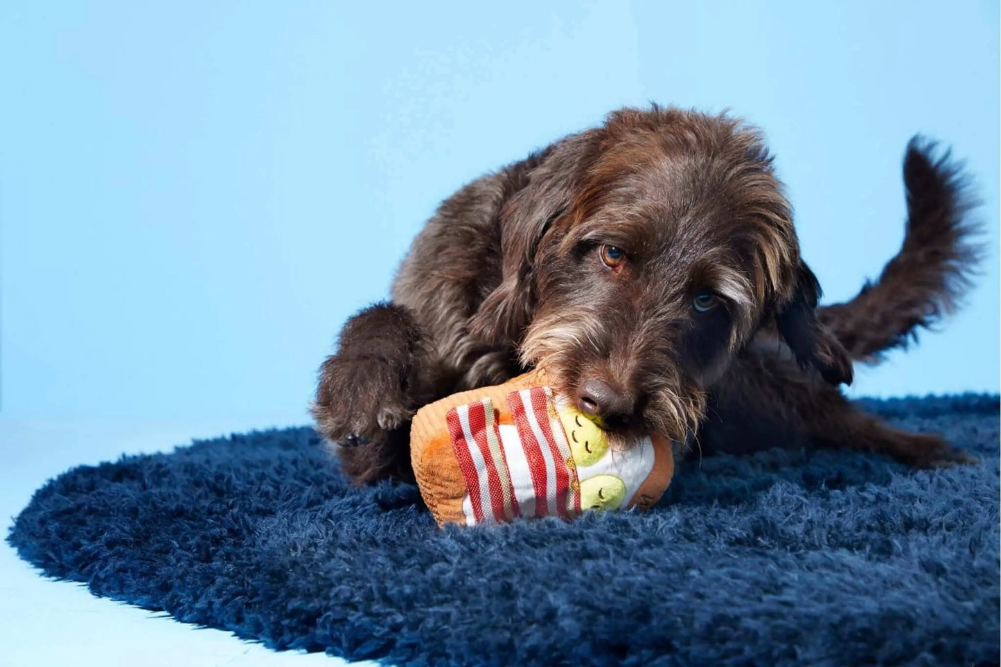 Barkfest In Bed BARK