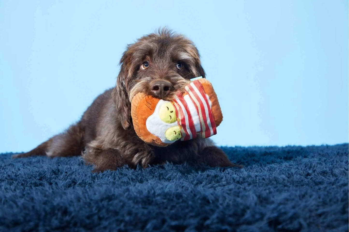 Barkfest In Bed BARK