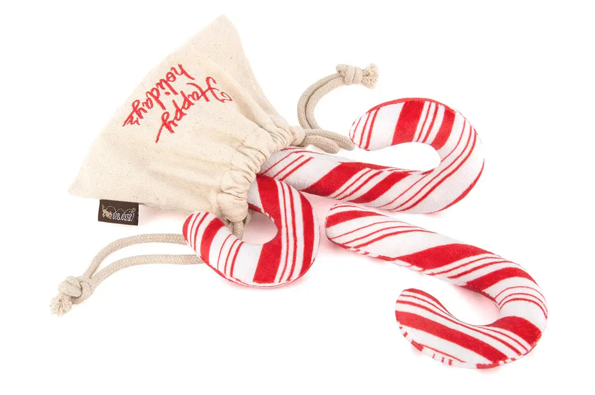 Cheerful Candy Canes Dog Toy PLAY