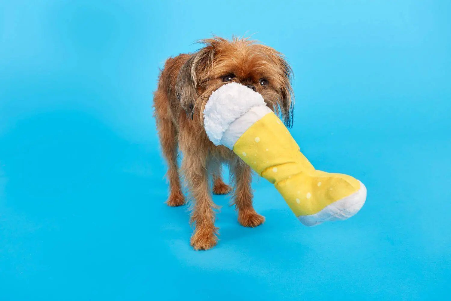 Das Bark Boot Toy BARK