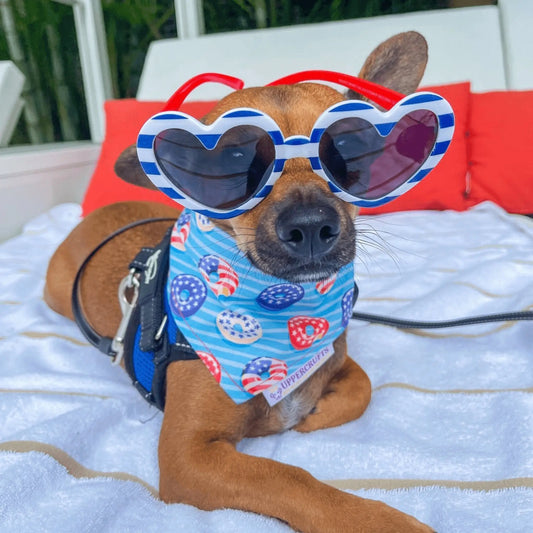 Donuts, Stars & Stripes Bandana Uppercrufts