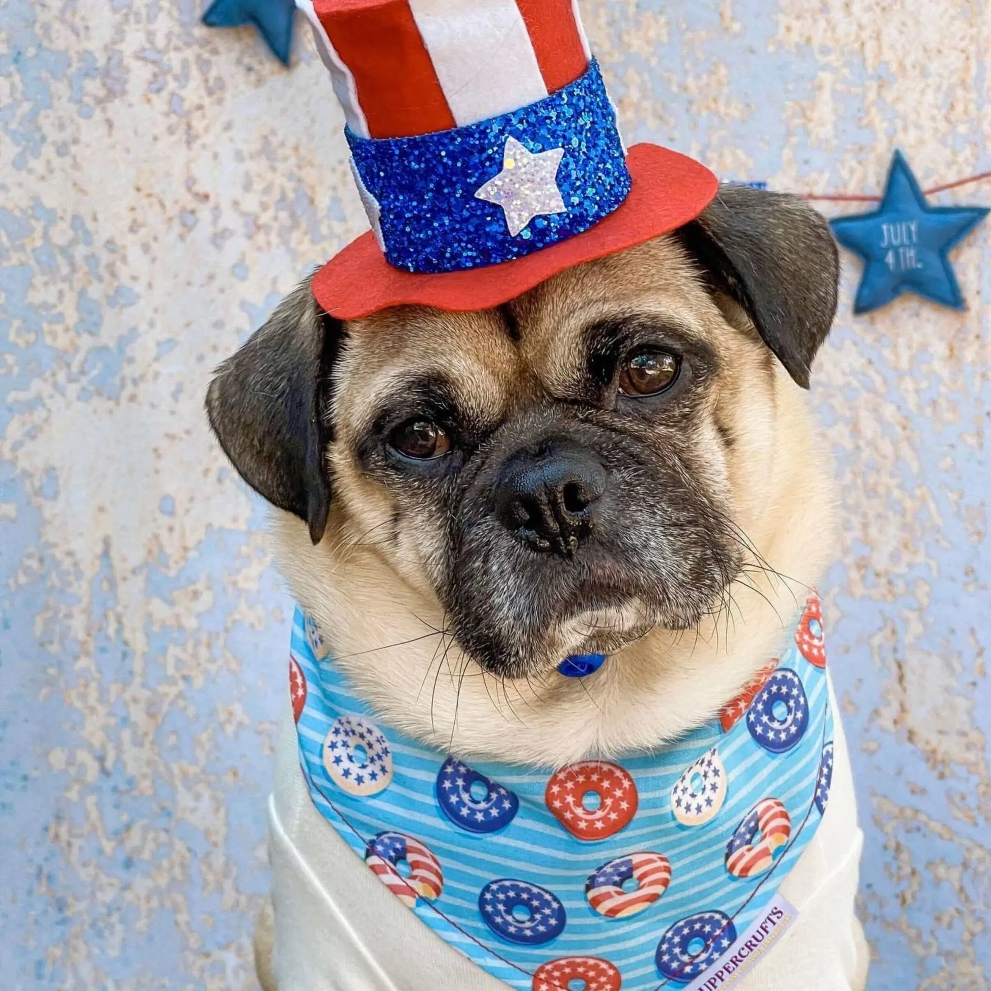 Donuts, Stars & Stripes Bandana Uppercrufts