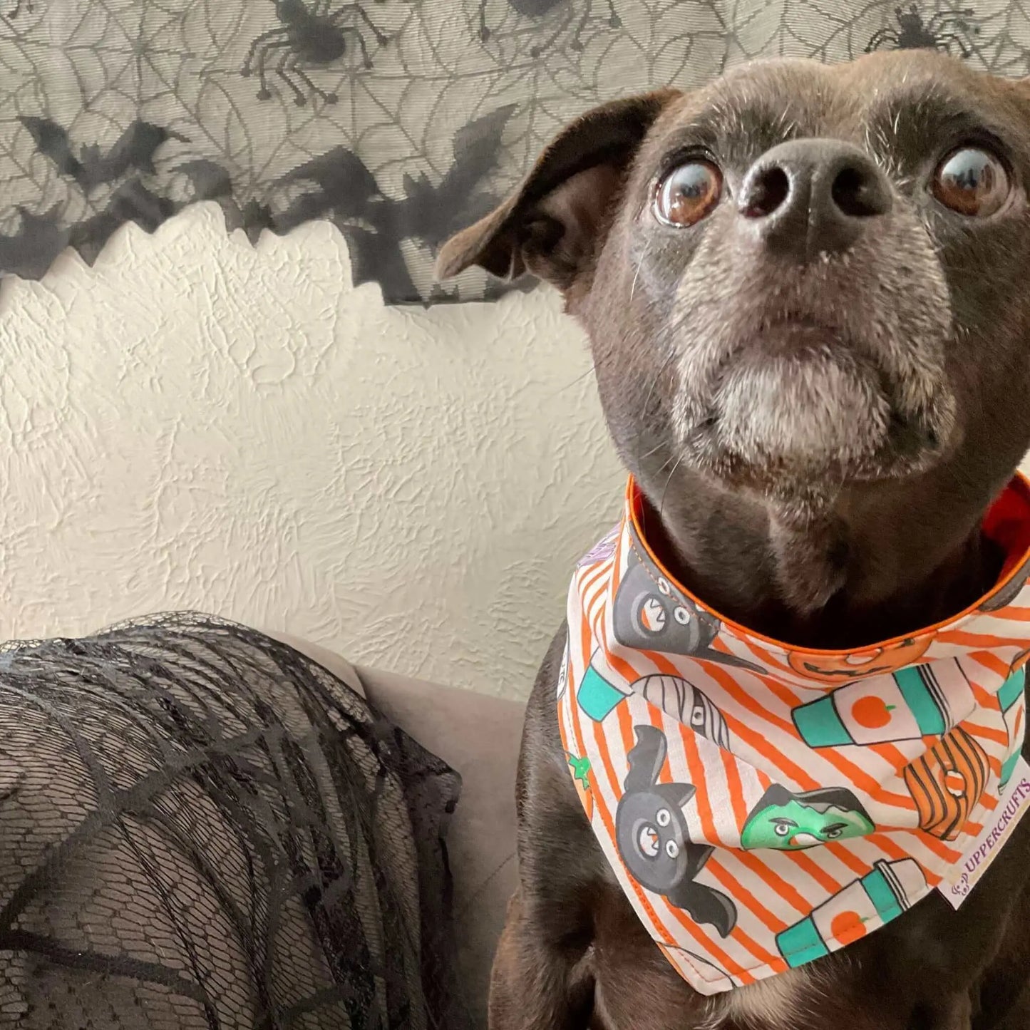 Halloween Donuts Bandana Uppercrufts