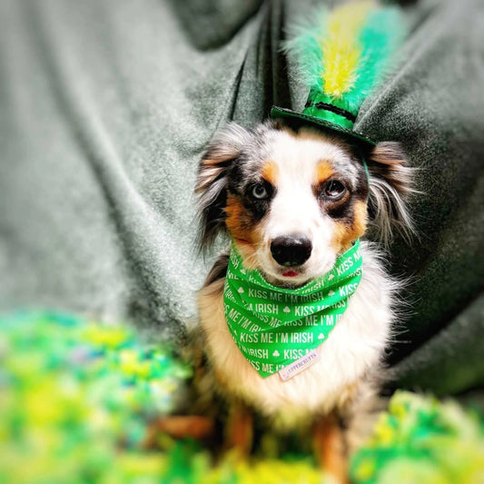 Kiss Me I'm Irish Bandana Uppercrufts