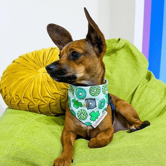 Lucky Donut Bandana Uppercrufts