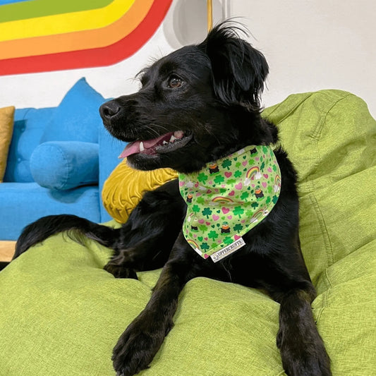 Lucky Rainbows Bandana Uppercrufts