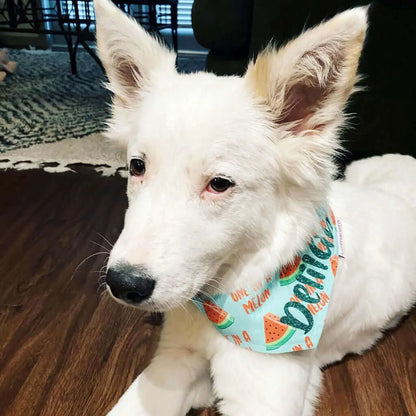 One in A Melon Bandana Uppercrufts