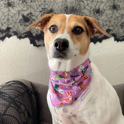 PETrified Bandana Uppercrufts