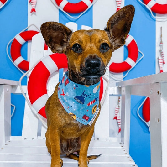 Patriotic BBQ Bandana Uppercrufts