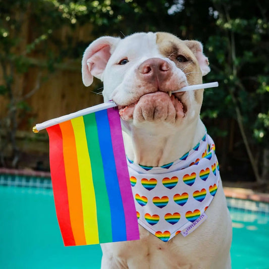 Rainbow Hearts Bandana Uppercrufts