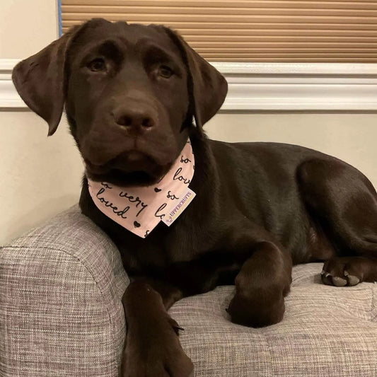 So Very Loved Bandana Uppercrufts