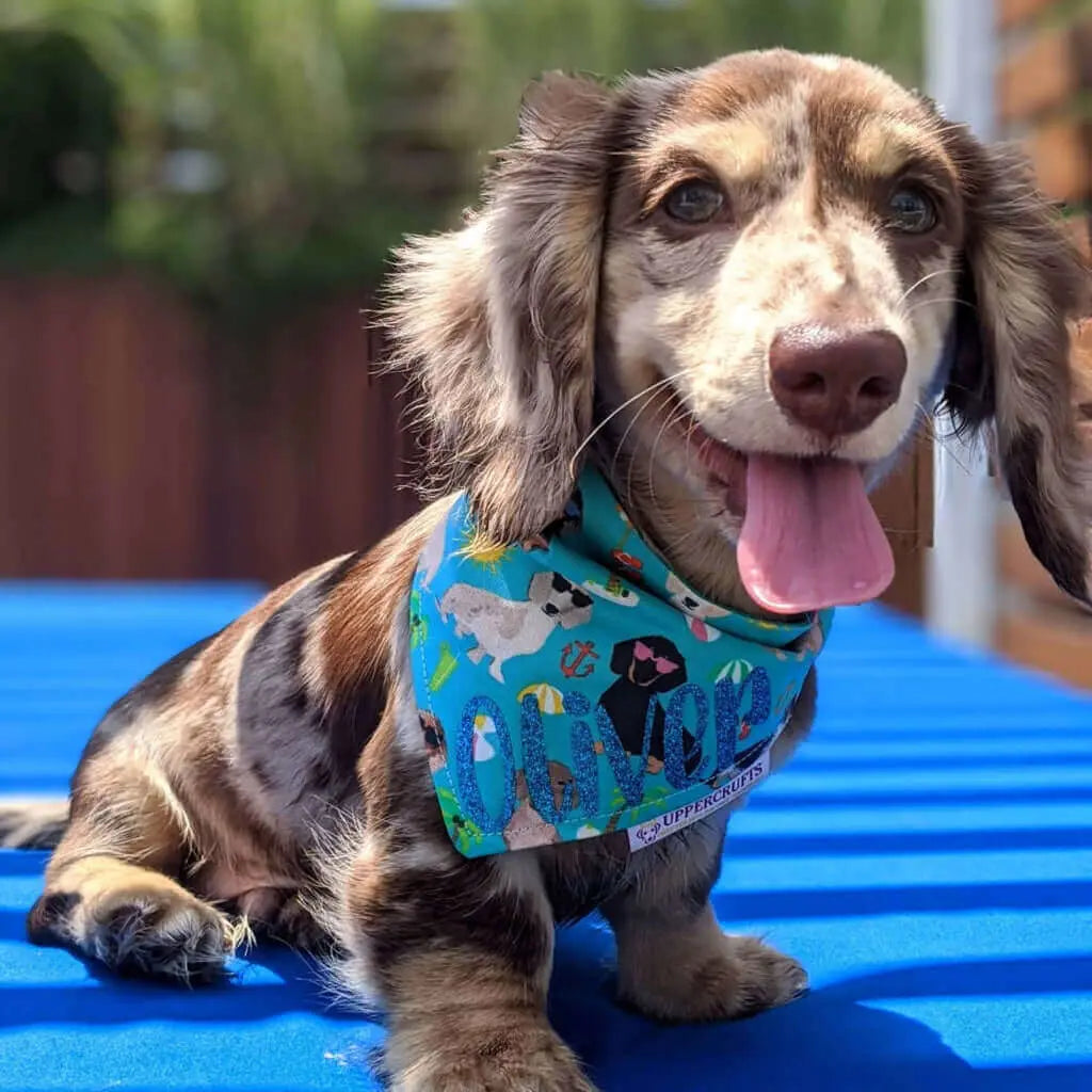 Sun, Sea & Weens Bandana Uppercrufts