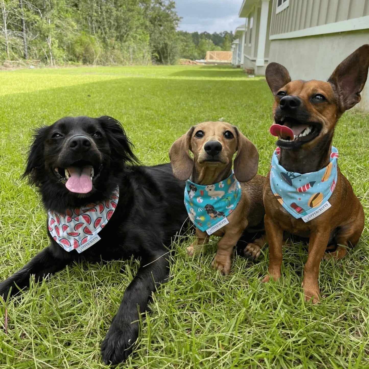 Sun, Sea & Weens Bandana Uppercrufts