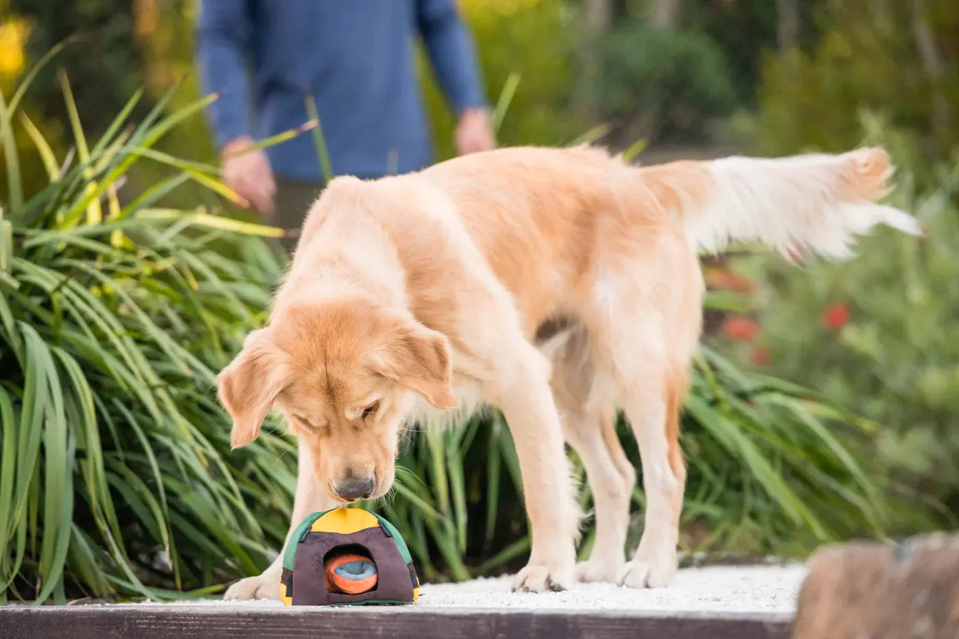 Trailblazing Tent Dog Toy PLAY