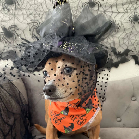 Witch Please! Bandana Uppercrufts