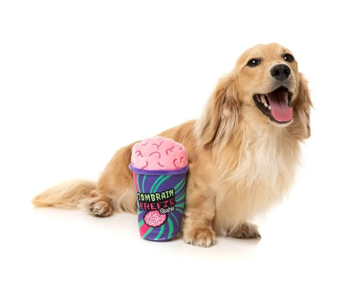 Zombrain Freeze Slushie Toy FuzzYard