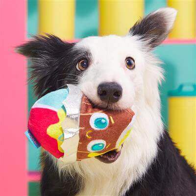 Cadfurry Eggs Toy - Uppercrufts