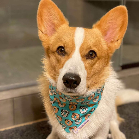 doNUTS About Dogs Bandana - Uppercrufts